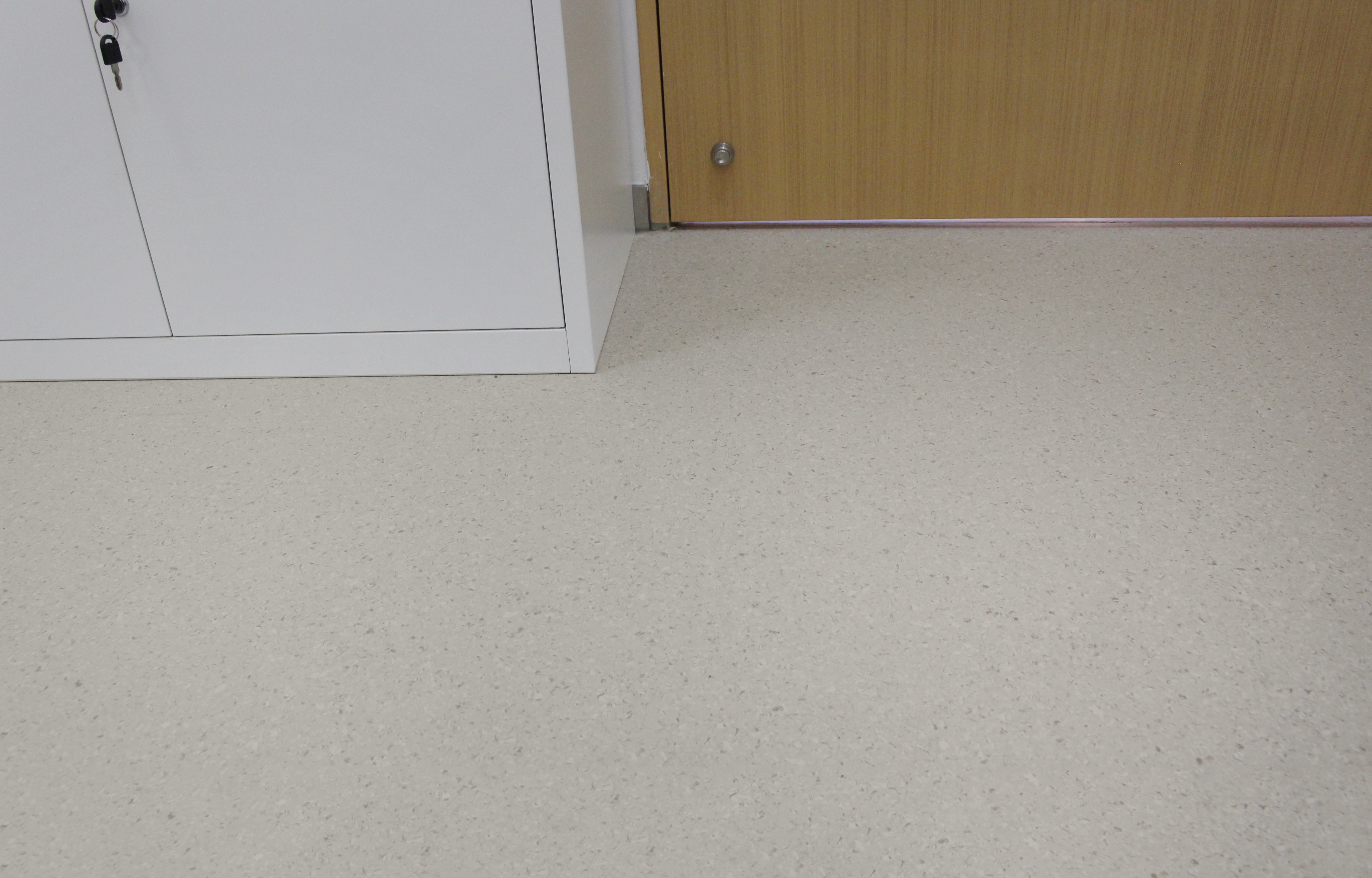 乐鱼leyu同质透心地板